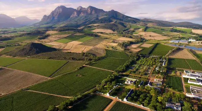 Cape 1000 Cycling 17 Franschoek