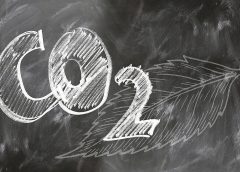 Foto: CO2-Konzentration in der Atmosphäre steigt stark
