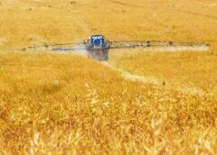 Foto: Landwirtschaft Pestizide © Bild von PublicDomainPictures auf Pixabay