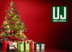 Bild: UMWELT JOURNAL Weihnachten