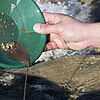 Sona Gold Pan 8 Inch Green Dual Riffles In Use