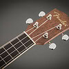 Fender U'Uku Soprano Ukulele Headstock