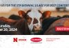 Lallemand to host 5th Biennial Silage for Beef Conference