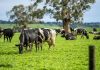 Novus to discuss challenges, opportunities of Australian dairy industry