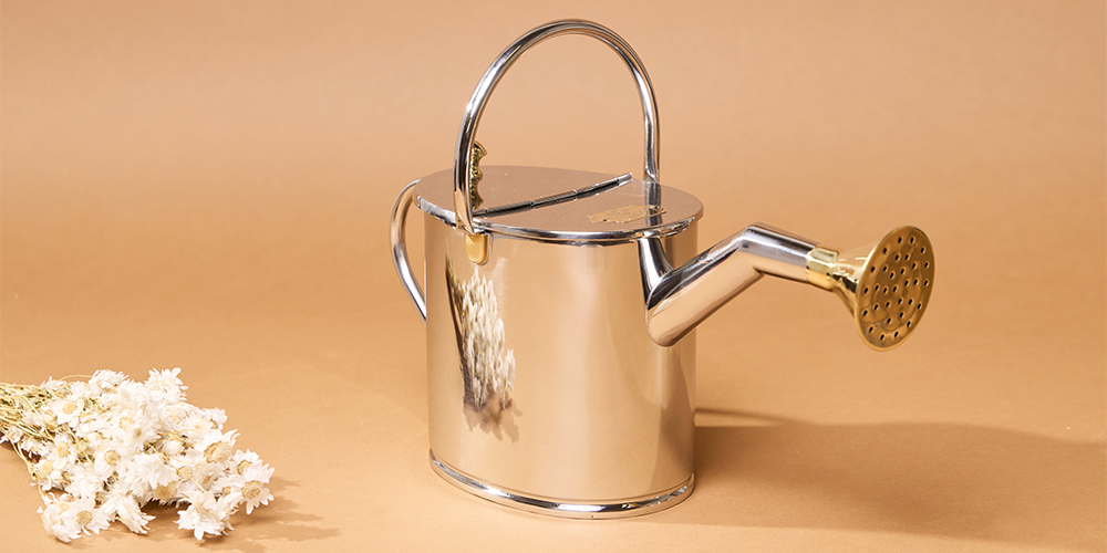 Push-promo-collections