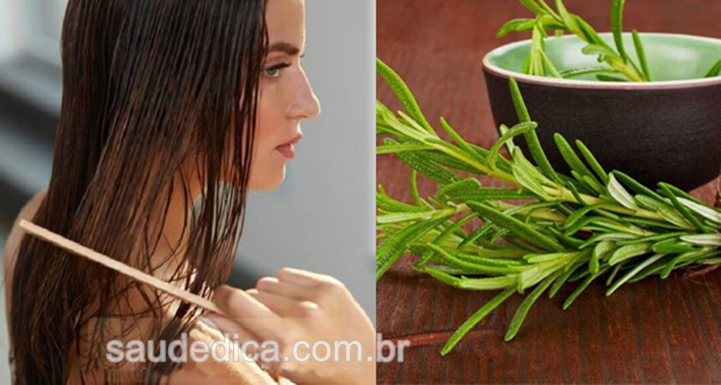 benefícios do alecrim para o seu cabelo