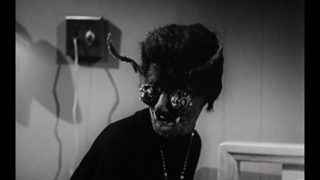 The Wasp Woman (1959)