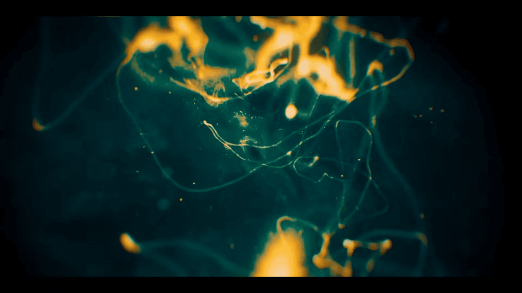 Black Ops 6 Screenshot of Separation Anxiety