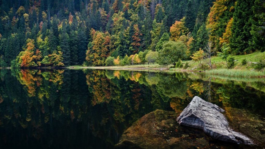 Black Forest, Germany