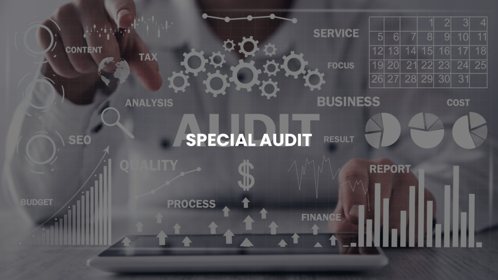 Special Audit