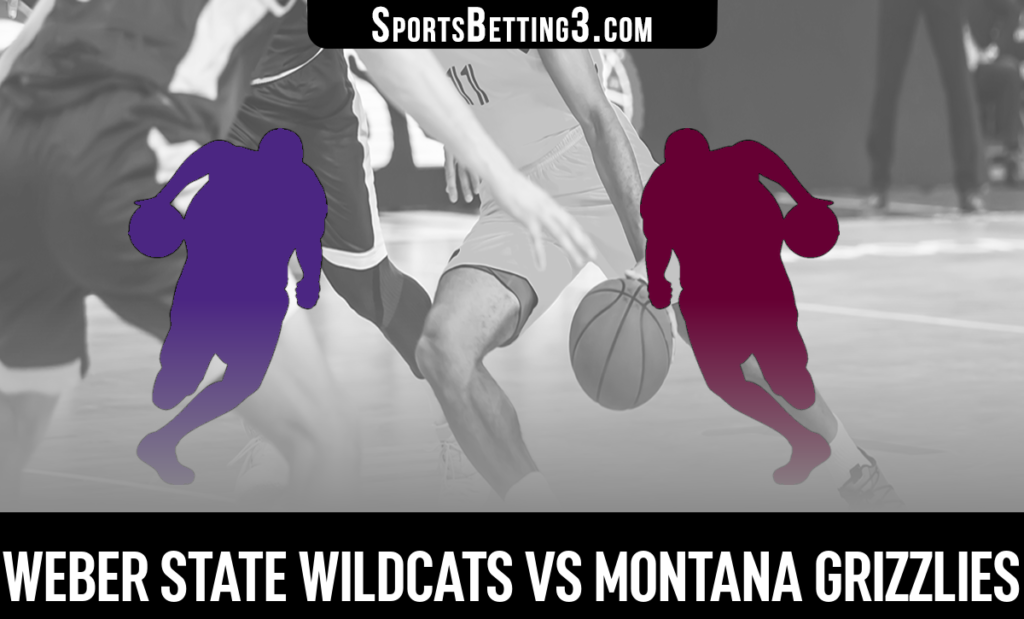Weber State vs Montana Betting Odds