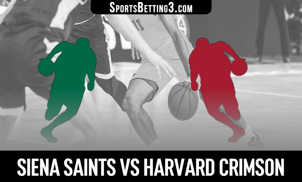 Siena vs Harvard Betting Odds