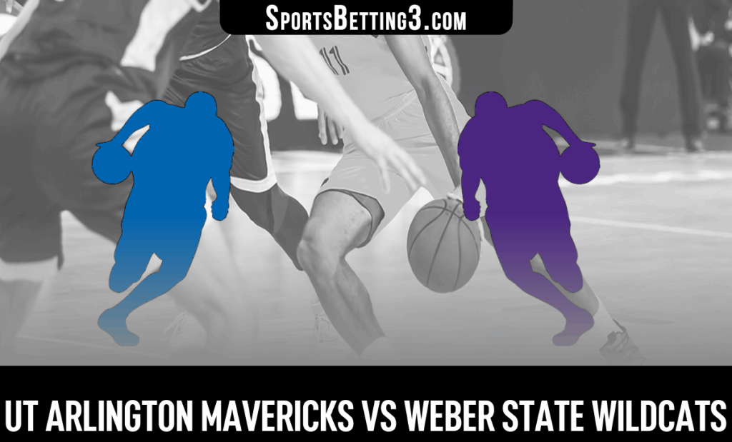 UT Arlington vs Weber State Odds