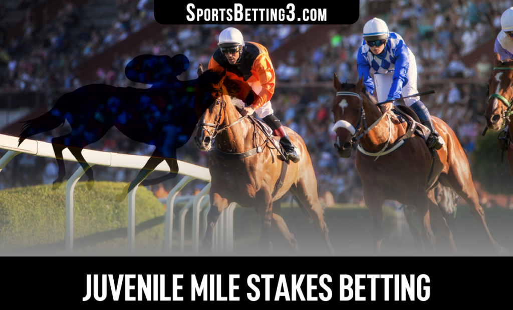Juvenile Mile Stakes Betting