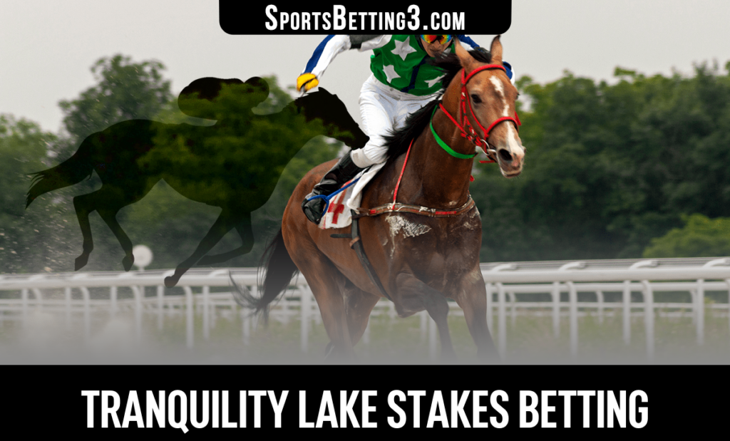 Tranquility Lake Stakes Betting