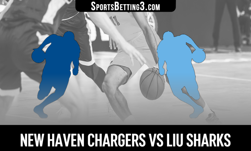 New Haven vs LIU Odds
