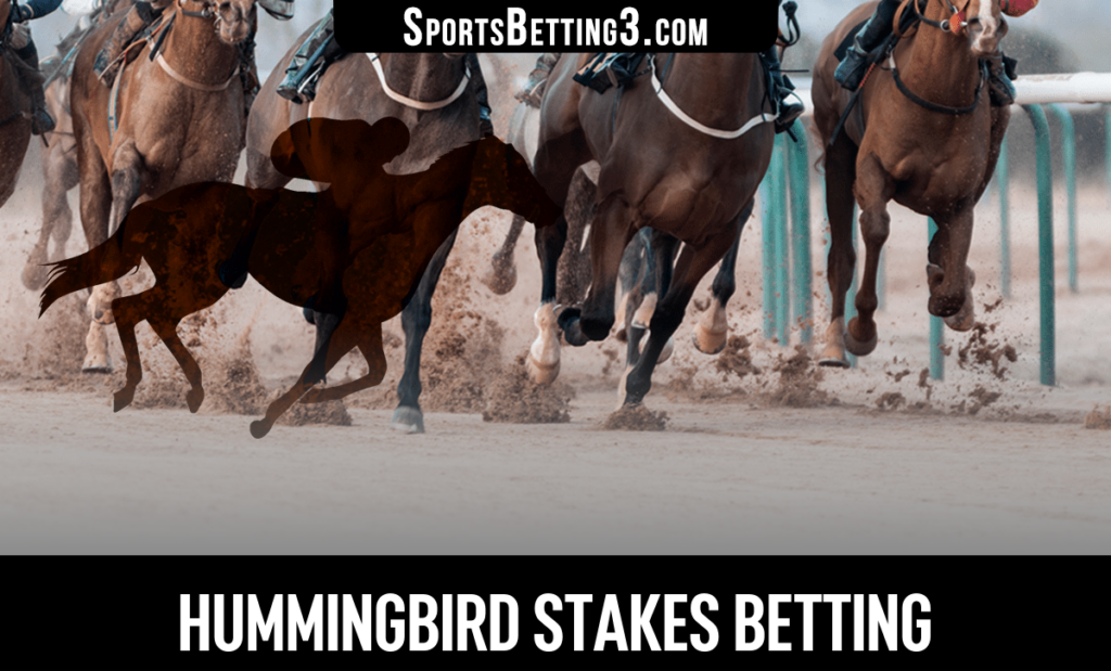 2026 Hummingbird Stakes Betting