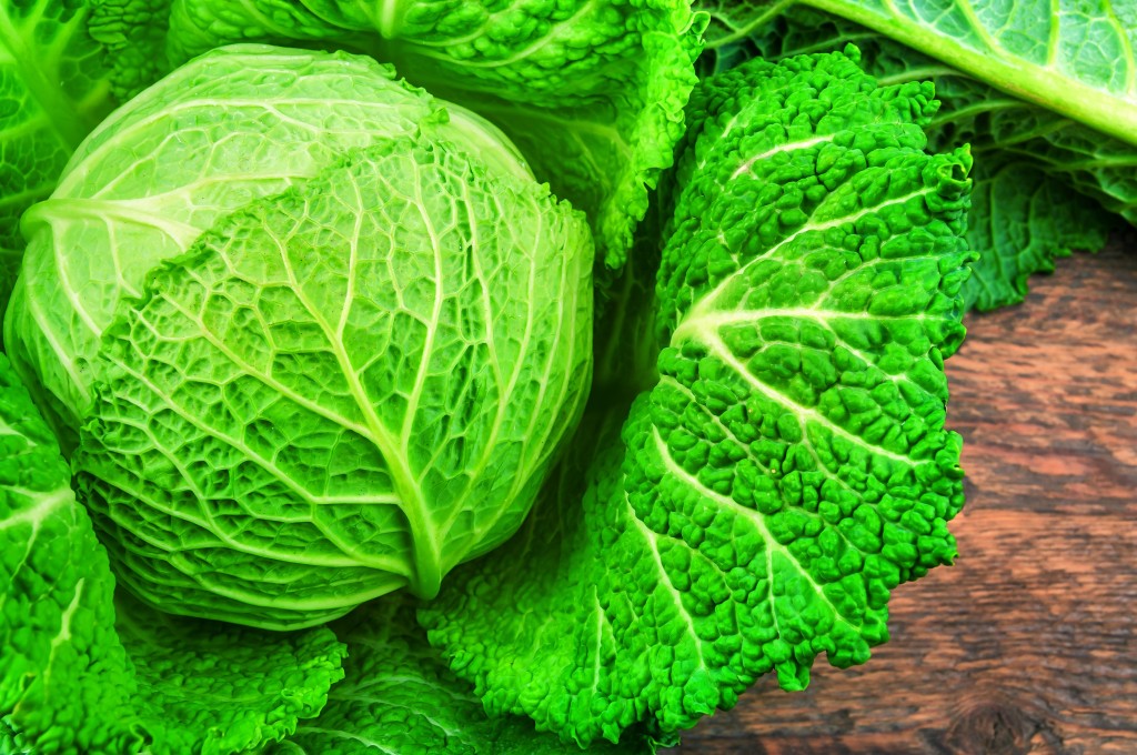 Repolho ajuda na perda de peso: veja 15 benefícios do vegetal | Dicas ...