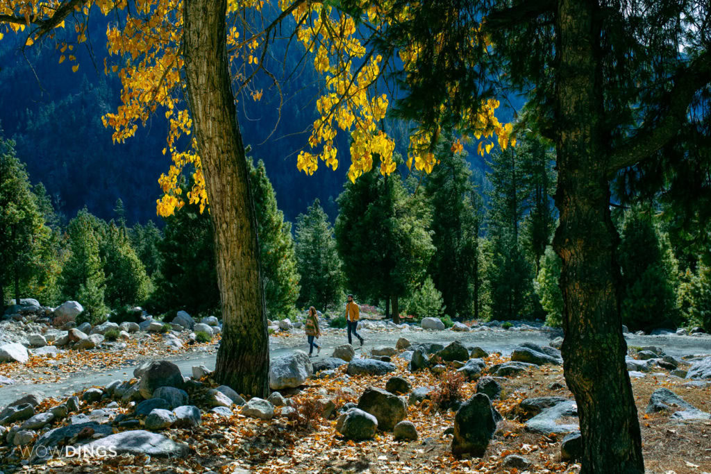 Mountain Pre-wedding Photography in Himachal