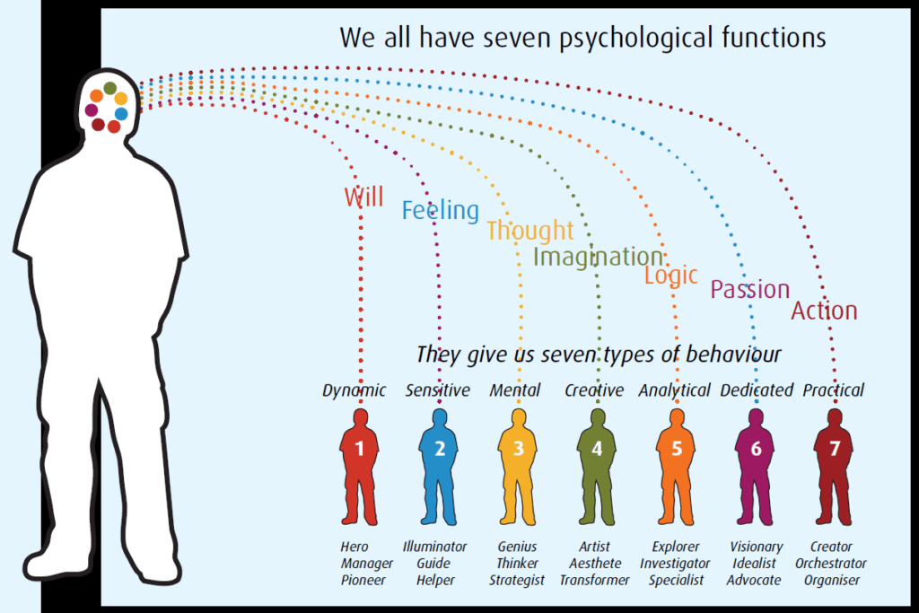 The seven psychological functions and behaviour The seven psychological functions and behaviour