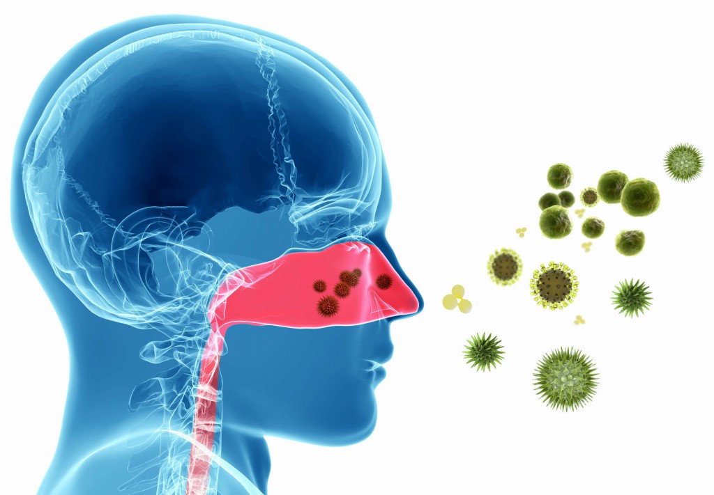 alergia respirataria