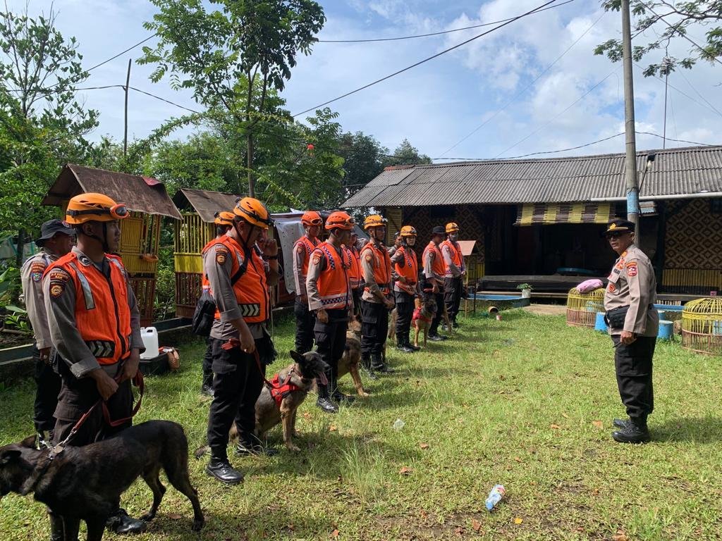 Satu anjing pelacak temukan
