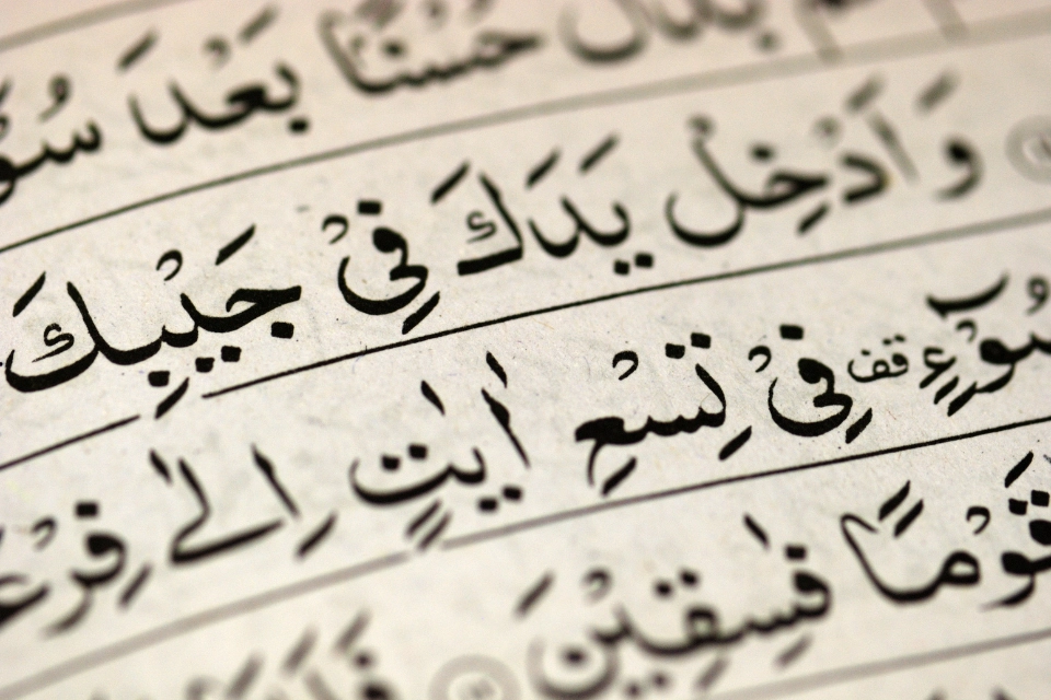 NLP for Arabic – The case of lemmatization