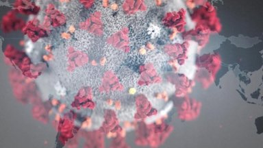 coronavirus