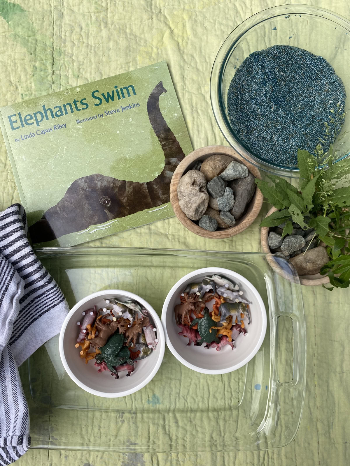 Swimming Animals Activity WinterKids IMG 7468