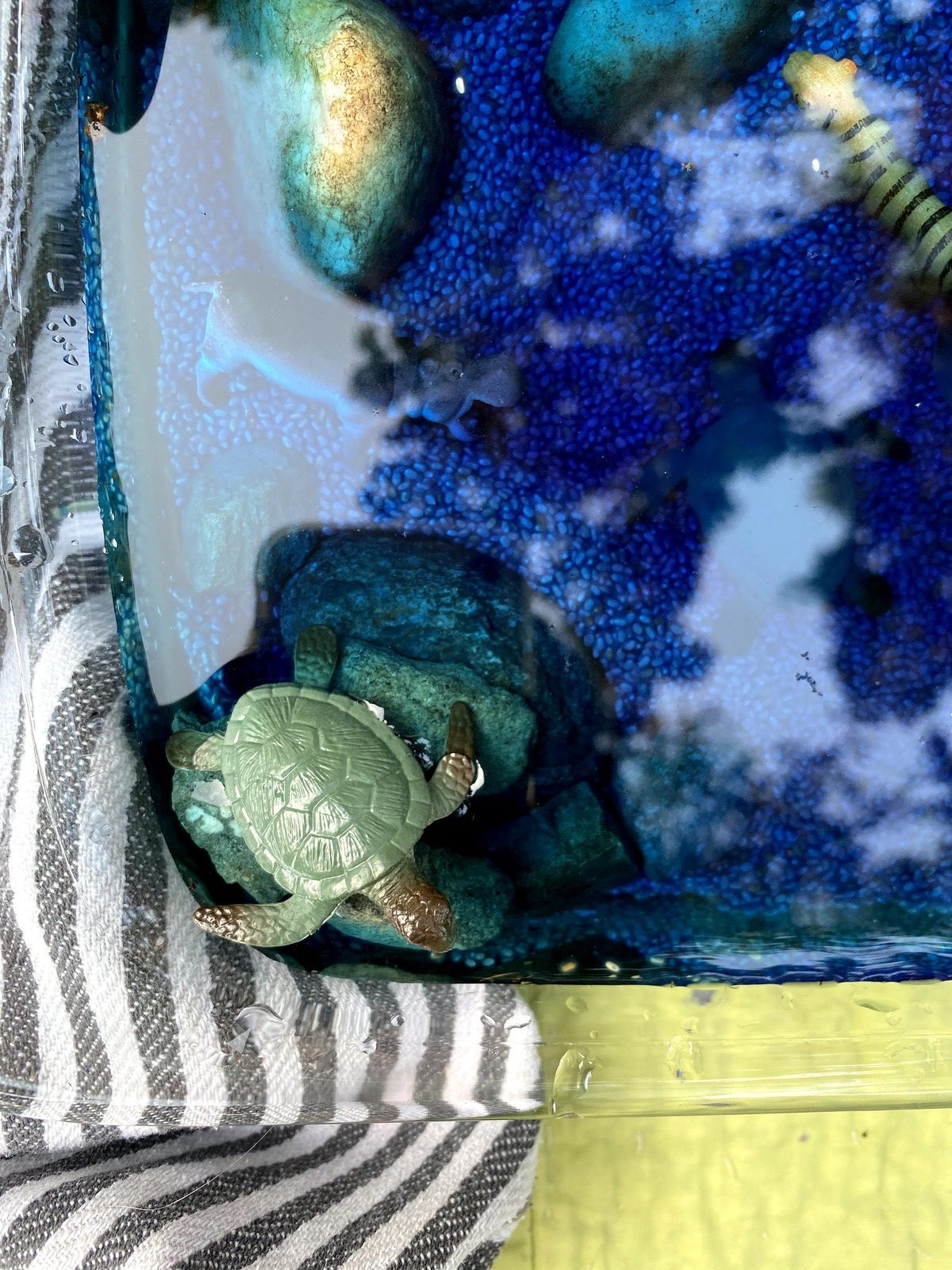 Swimming Animals Activity WinterKids IMG 7519