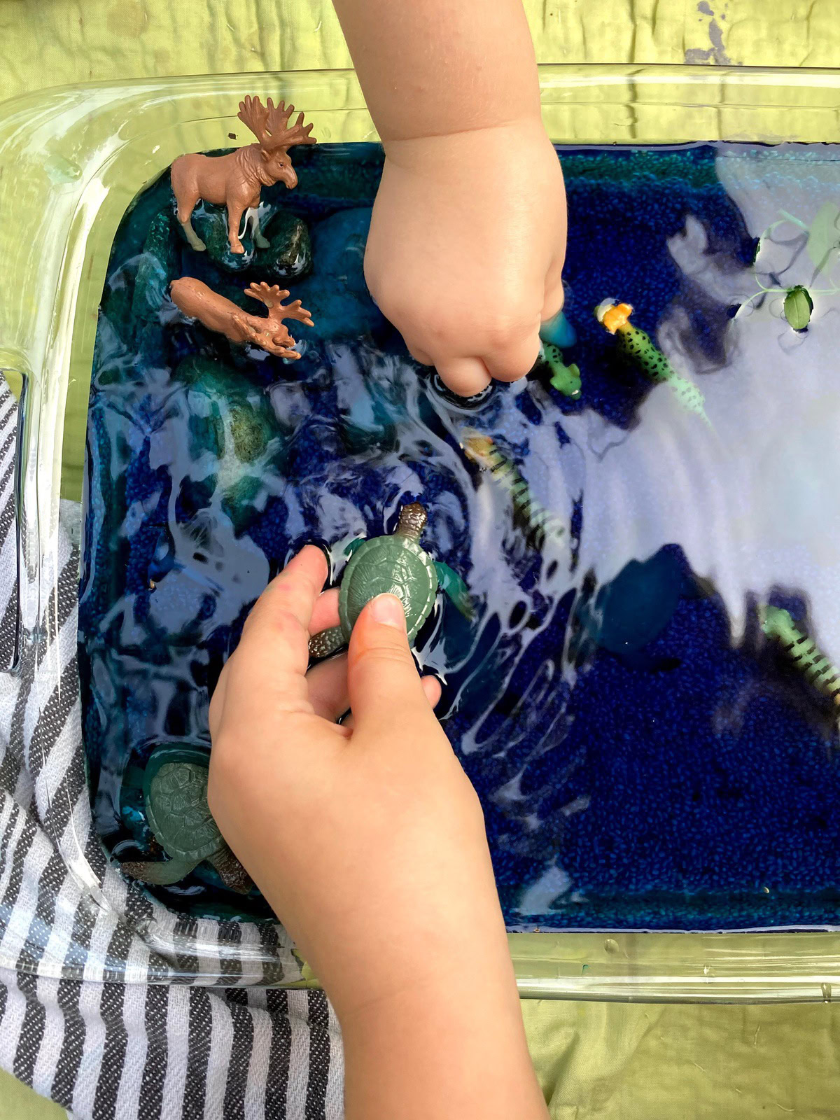 Swimming Animals Activity WinterKids IMG 7565