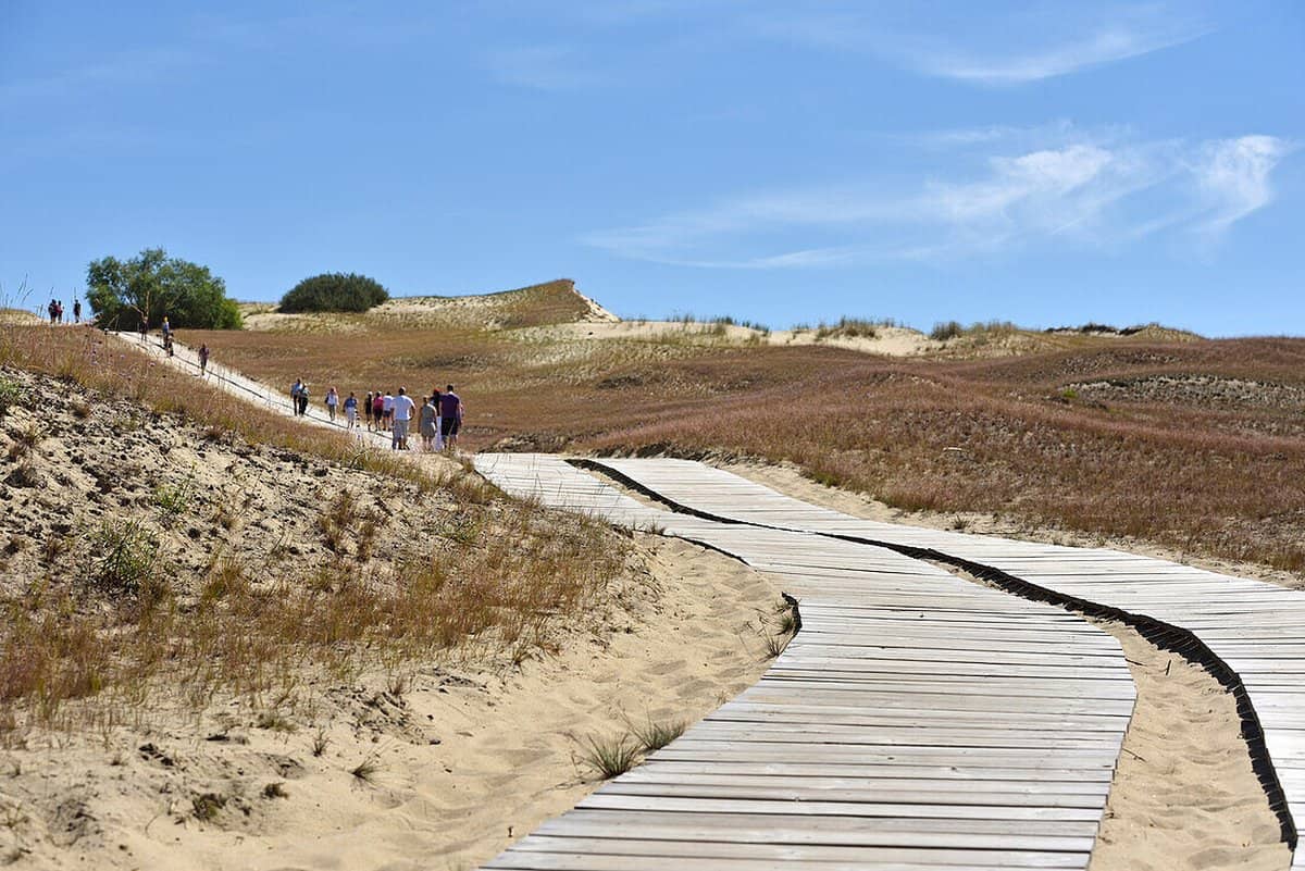 Nagliai Reserve, Curonian Sahara