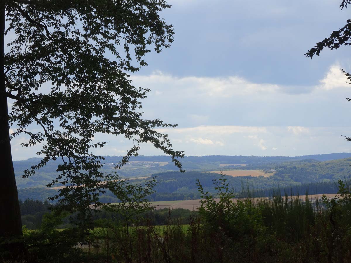 Ausblick Traumpfädchen Eifeltraum