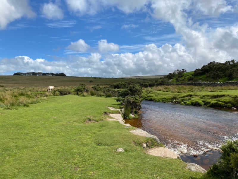 Dartmoor