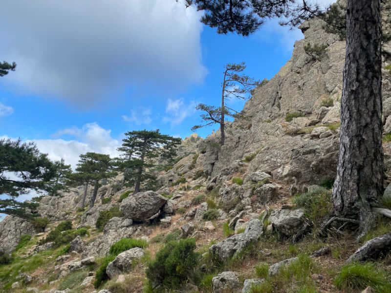 Klettern im Bavella Massiv