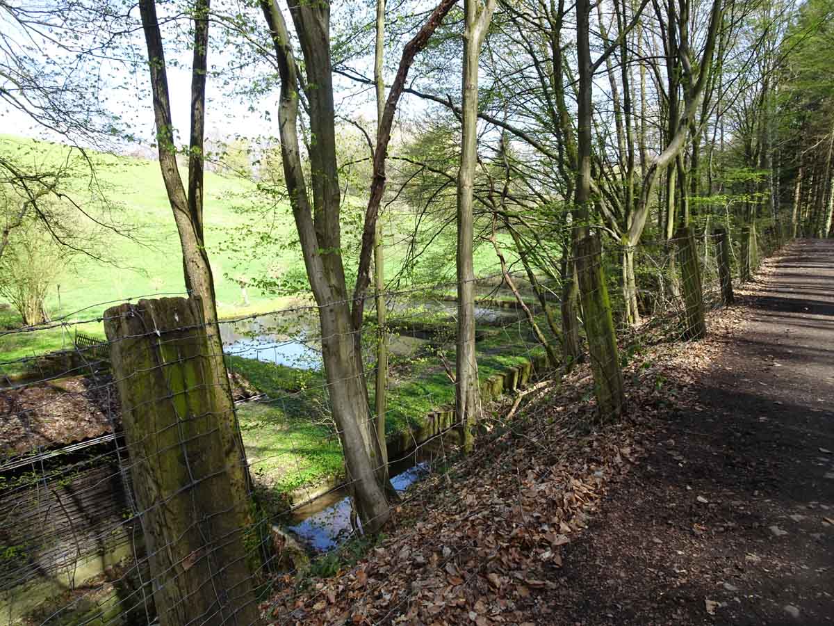 Waldweg Bauernhofweg