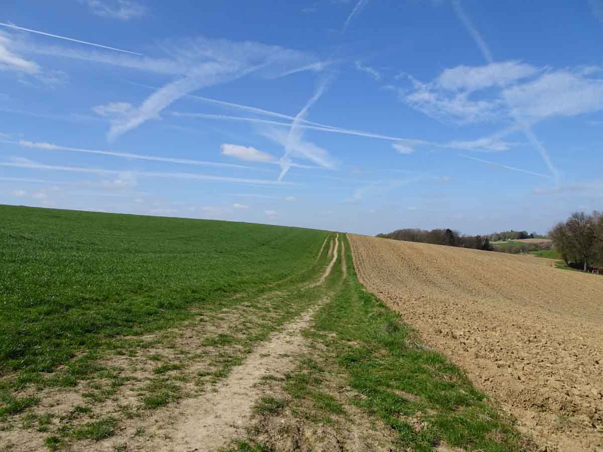 Wiesenweg auf dem Bauernhofweg