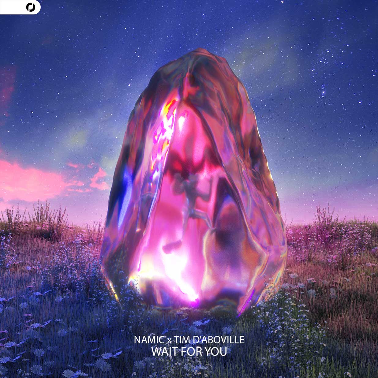 Namic et Tim D’Abobille s’unissent avec brio sur "Wait For You"
