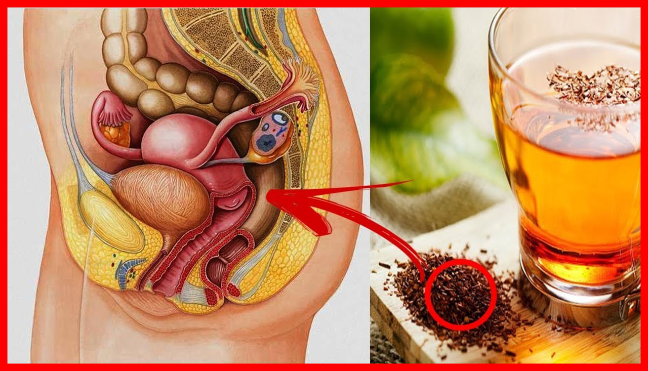 chas para fazer a menstruaçao descer na hora