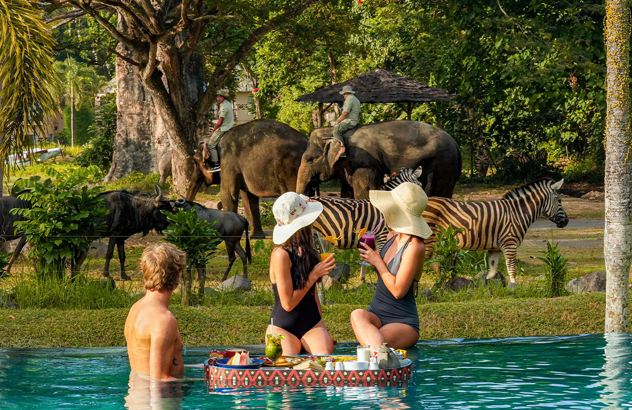 Safari Nyepi Sensation promo from Mara River Safari