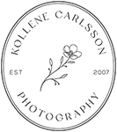 Blonde Cow Photography