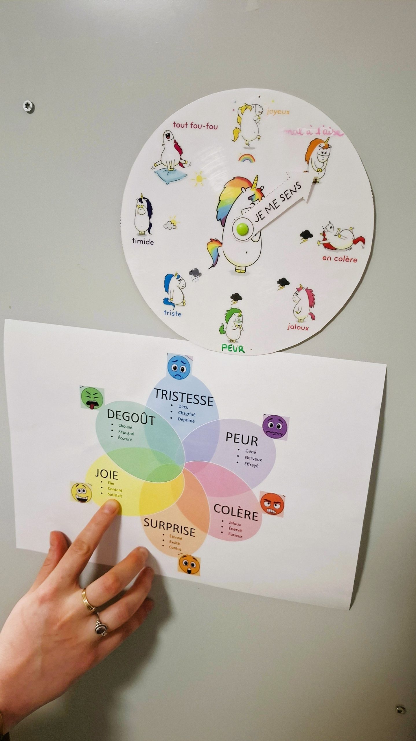 La roue des émotions conçue par Valérie, ergothérapeute en Sociothérapie