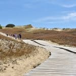 The Sahara of Europe: Curonian Sahara