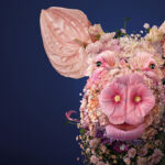 AB Vista to present latest fiber research with academic professionals