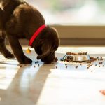 Above Food expands its US footprint through strategic acquisition