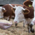 Adisseo publishes updated vitamin recommendations