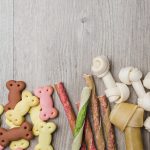 AlphaPet acquires UK-based premium dog treat brand