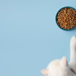 Alphia expands manufacturing network with new acquisition