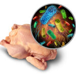 Anitox evaluates new priorities of IFSAC