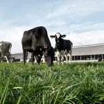 Arla presents new brand to reduce footprint of dairy farming